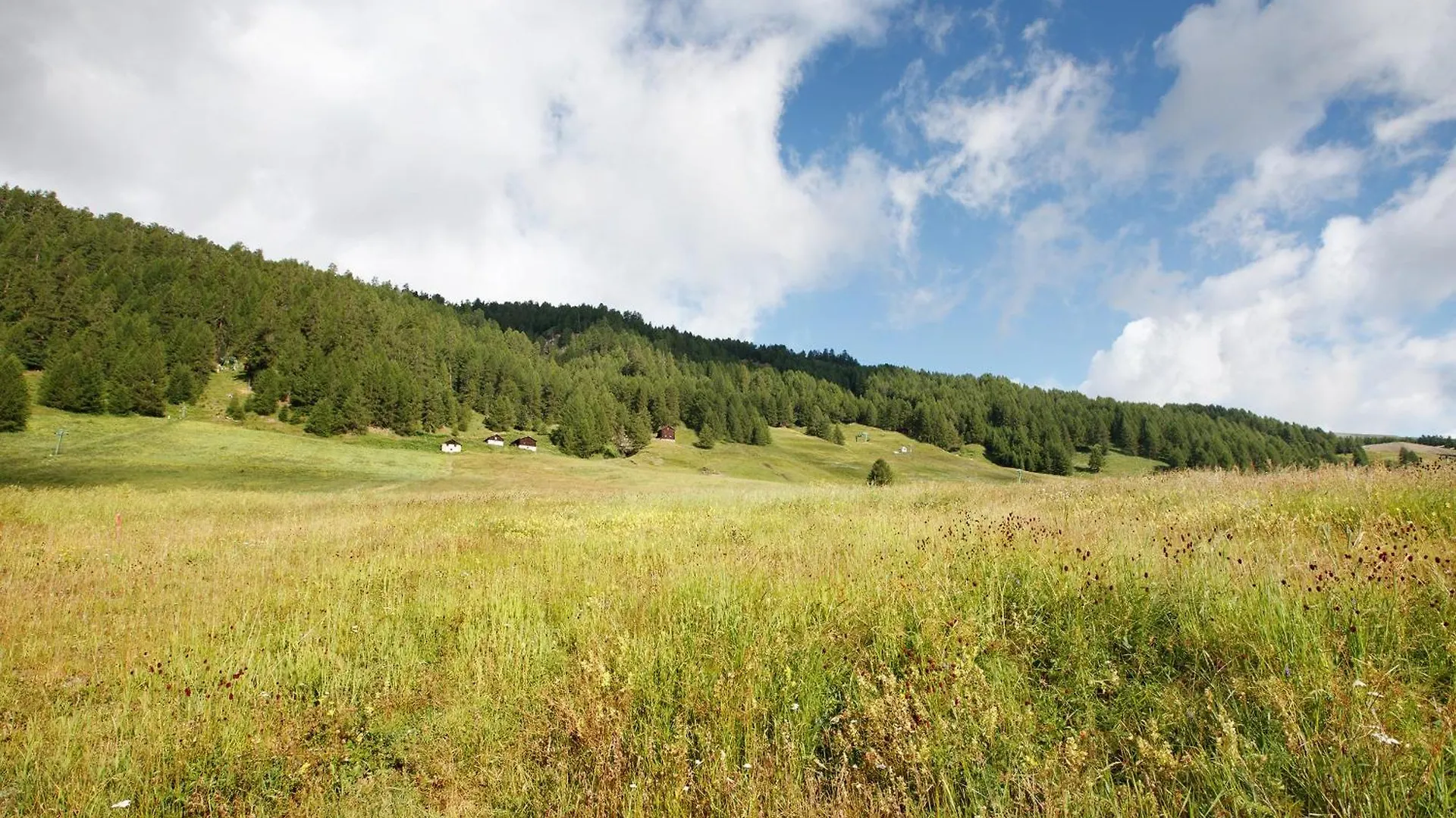 Loredana - Al Bait Da Santin Livigno Apartmán